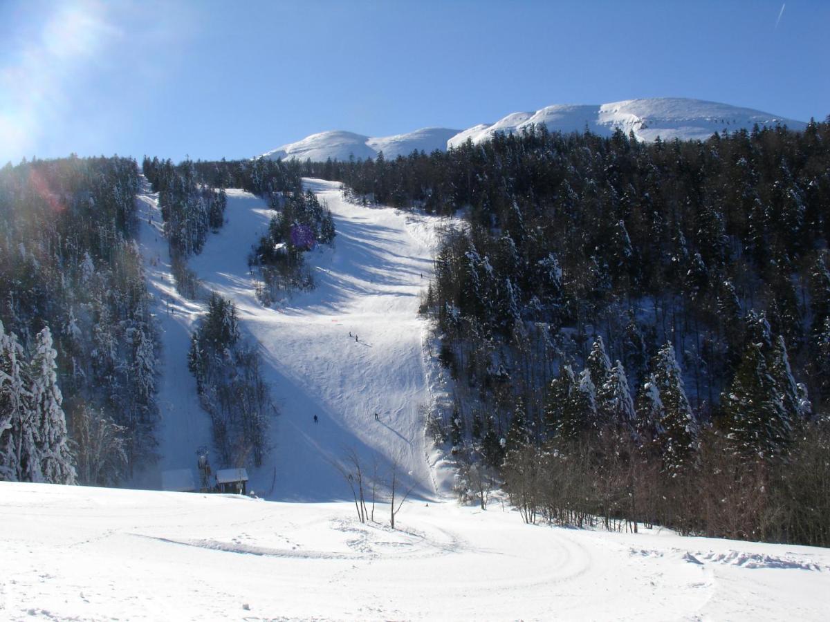 Hotel Du Col De La Machine Saint Jean en Royans Bagian luar foto